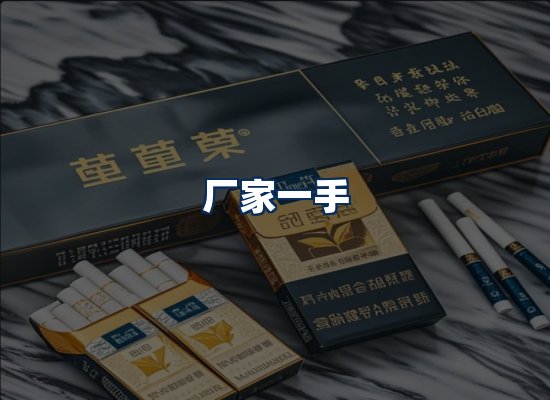 专业团队办公环境